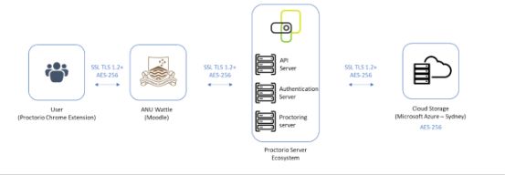 Proctorio系統的工作方式圖示