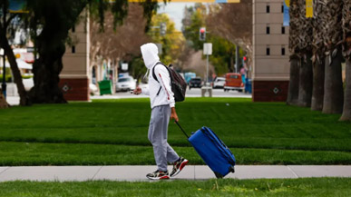 多所美國大學宣布網課延續至明年夏天